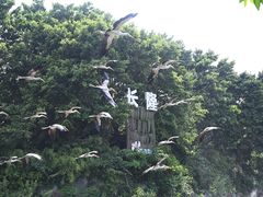 -广州长隆飞鸟乐园