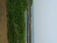 android_upload_pic-硇洲岛旅游区