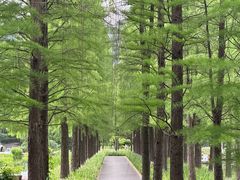 -圩墩遗址公园