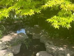 -龙头寺公园