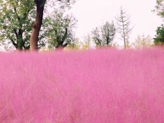 -汉长安城未央宫国家考古遗址公园