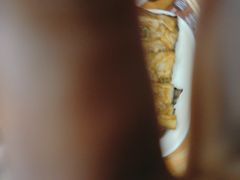 -探唐烧烤(棠东店)