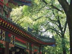 -灵谷景区