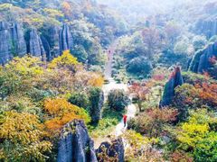 -山王坪喀斯特国家生态公园