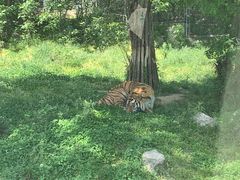 -西安秦岭野生动物园