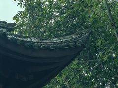 -望江楼公园