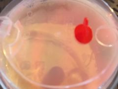 -TPLUS茶家(淮海店)