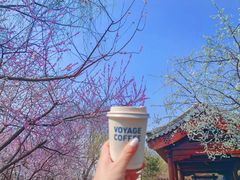 -春风习习