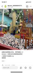 -meland亲子乐园·派对·研学(淄博万象汇店)