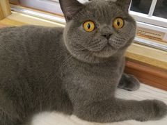 -猫和宫(六道口店)