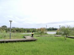 -风云岭森林公园