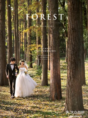 有趣的森系婚纱照，自带清新文艺的电影感