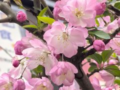 -龙湖冠寓(上海闵行星悦荟店)