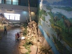 -自贡恐龙博物馆