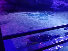 -沈阳海洋探索中心