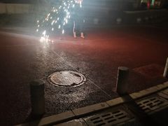 -四海烤鸭城