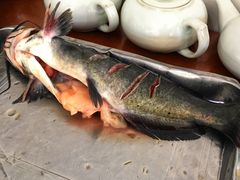 -木火铁锅炖活鱼(赤城分店)