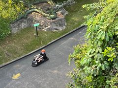 -圣淘沙天际线斜坡滑车