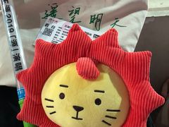 -南京奥林匹克体育中心-体育馆