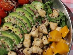 -百好乐宠物友好餐厅(朝外大街店)