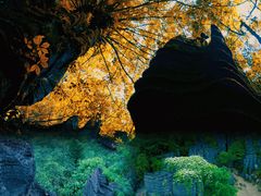 -梭布垭石林景区