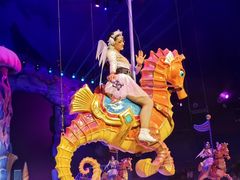 -海合安武汉极地海洋公园