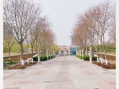 -金星公园