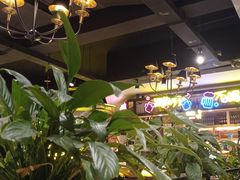 -嘎嘎鸭脑壳(金琴店)
