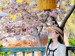 -中国翰园碑林