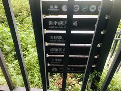 -苍山感通索道