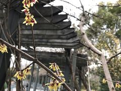 -黄兴公园