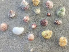 -沿江海南菜·文昌鸡祖师爷(大东海店)