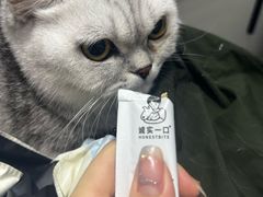 -派特宠物医院(圆融广场店)