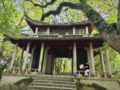 -溪口-滕头旅游景区