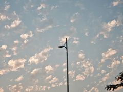 -杞兴东莞烧鹅