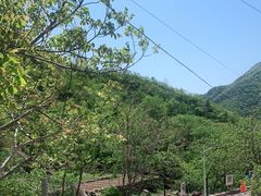 -大岭沟猕猴桃谷风景区