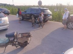 -南汇嘴观海公园