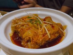 -点都德·毕德寮