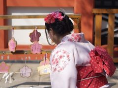 -东京浅草和服体验江户和装工房雅(浅草本店)