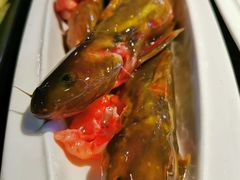 -鱼豆吉·豆浆鱼火锅(CBD店)