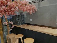 -THE MATCHA TOKYO抹茶东京