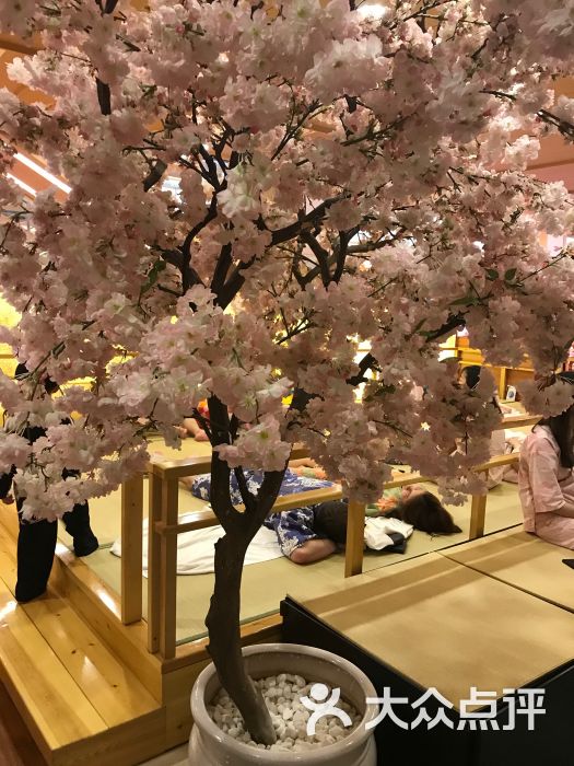 极乐汤(金沙江路店)图片 第1张
