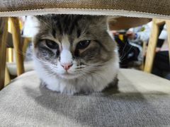 -白兔子密室(长寿路店)