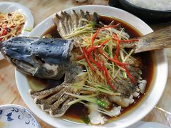 -煲来饱去冷水鱼