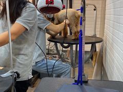 -PETKIT小佩宠物(古北店)