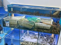 -阿军排档·烧烤