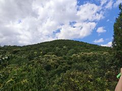 -水池山公园