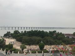 -宝安西湾红树林湿地公园