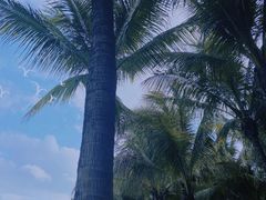 -深圳湾公园(南山区)