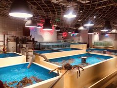 越狱的帝王蟹-日进一片海.生腌海鲜火锅.宵夜烧烤(三里屯总店)